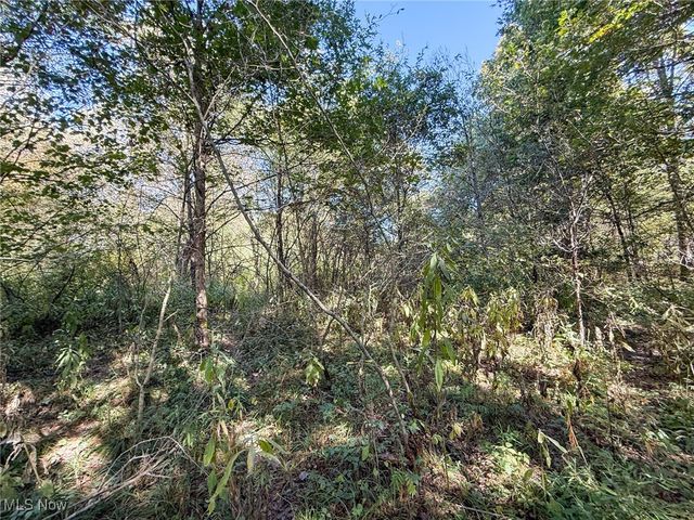 Country Rd, Jewett, OH 43986