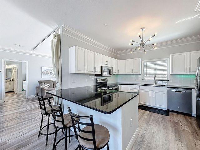 4340 BAYSIDE VILLAGE DRIVE 201, Tampa, FL 33615