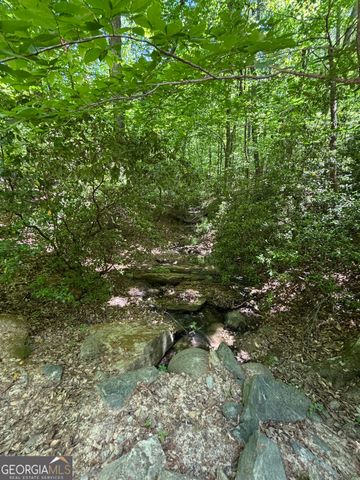 5655 Blackjack Road, Flowery Branch, GA 30542