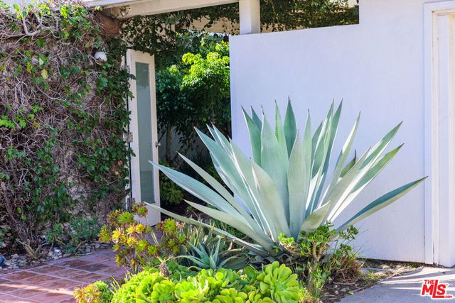 241 Rees Street, Los Angeles, CA 90293