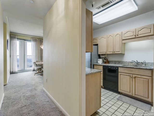 1 Towers Park Ln Apt 1511, San Antonio, TX 78209