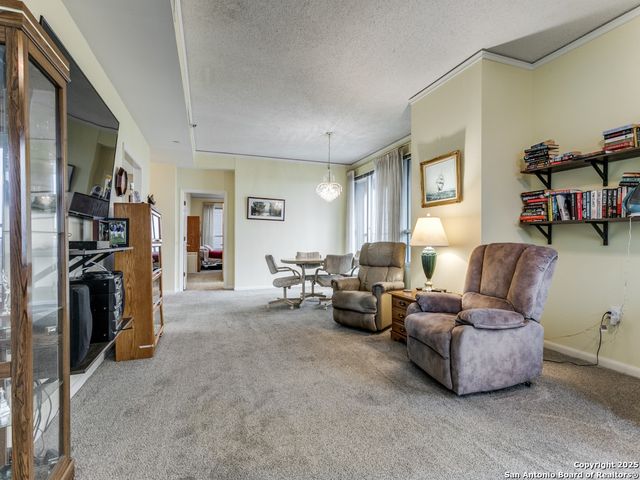 1 Towers Park Ln Apt 1511, San Antonio, TX 78209