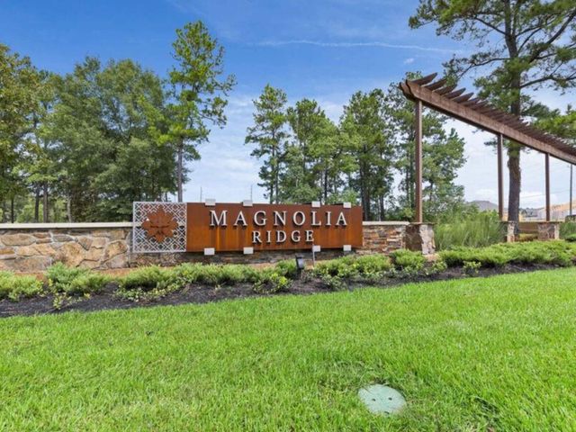 277 Douglas Hills Drive, Magnolia, TX 77354