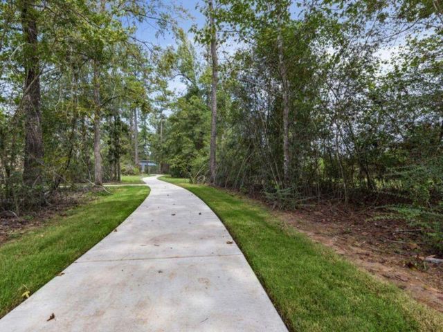 277 Douglas Hills Drive, Magnolia, TX 77354