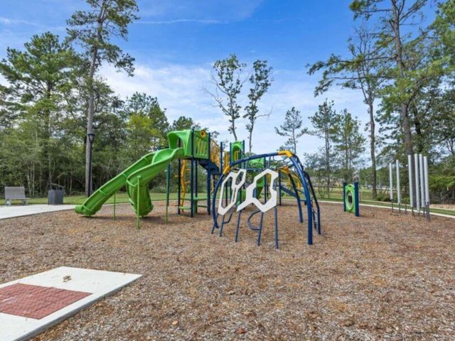 277 Douglas Hills Drive, Magnolia, TX 77354