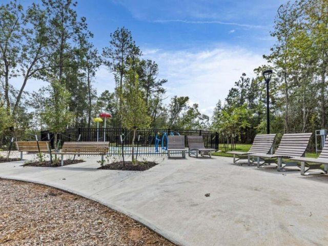 277 Douglas Hills Drive, Magnolia, TX 77354