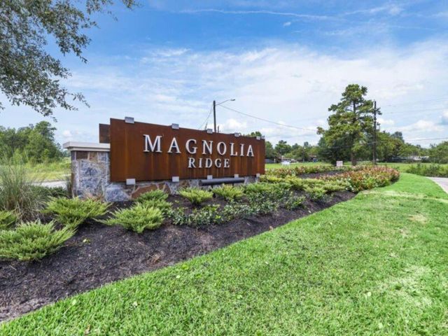 277 Douglas Hills Drive, Magnolia, TX 77354