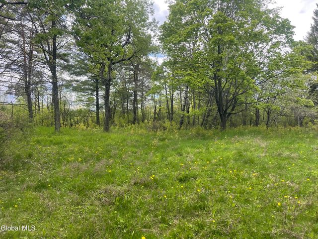 3 Agawam Lane, Altamont, NY 12009