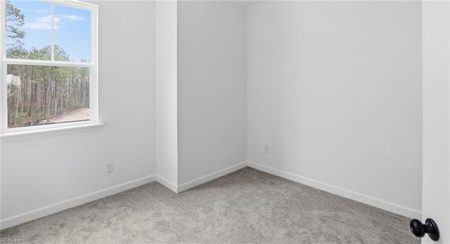 1005 Serene Rd Unit 100, Suffolk, VA 23435