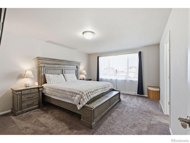 385 Littlebrook Court, Windsor, CO 80550