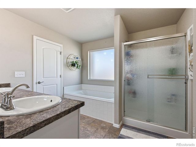 385 Littlebrook Court, Windsor, CO 80550