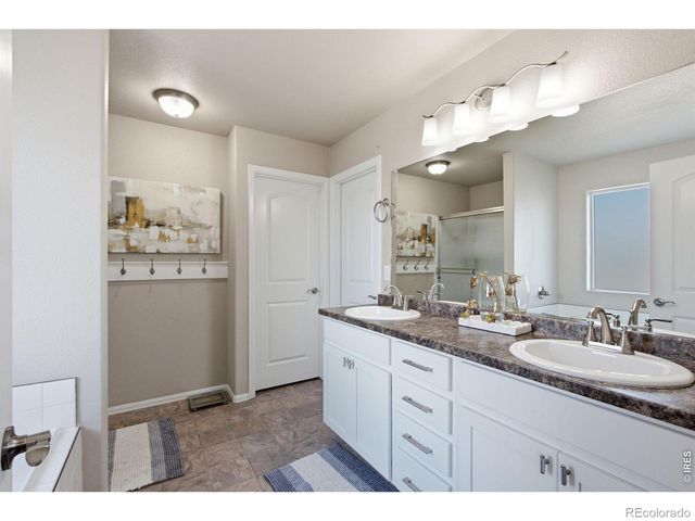385 Littlebrook Court, Windsor, CO 80550