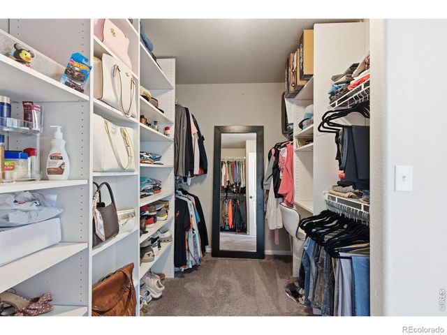 385 Littlebrook Court, Windsor, CO 80550