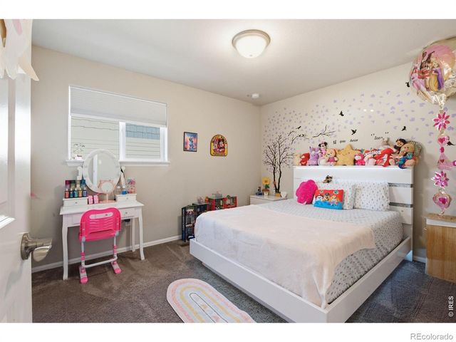 385 Littlebrook Court, Windsor, CO 80550
