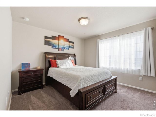 385 Littlebrook Court, Windsor, CO 80550