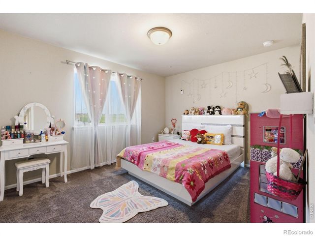 385 Littlebrook Court, Windsor, CO 80550