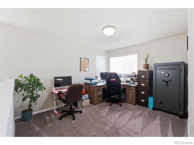 385 Littlebrook Court, Windsor, CO 80550