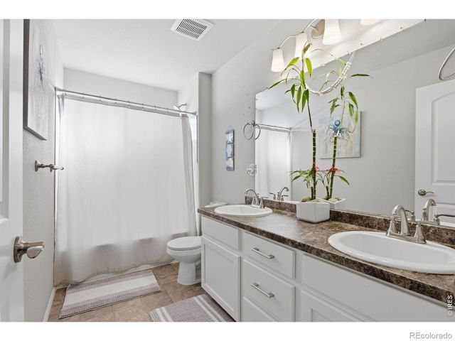 385 Littlebrook Court, Windsor, CO 80550