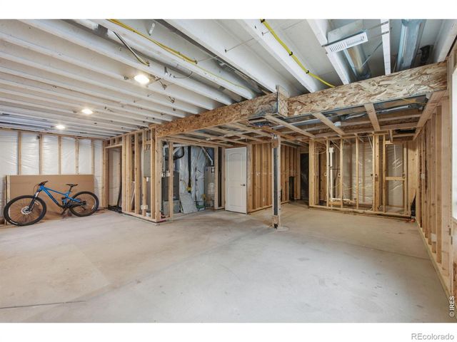 385 Littlebrook Court, Windsor, CO 80550