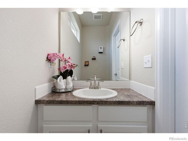 385 Littlebrook Court, Windsor, CO 80550