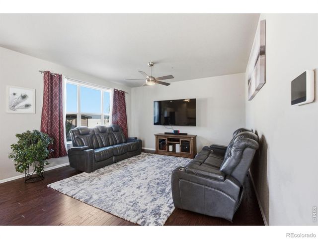 385 Littlebrook Court, Windsor, CO 80550