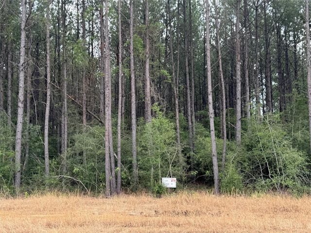 10634 Forest Mill Road, Willis, TX 77378