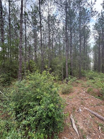 10634 Forest Mill Road, Willis, TX 77378