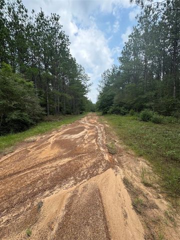 10634 Forest Mill Road, Willis, TX 77378