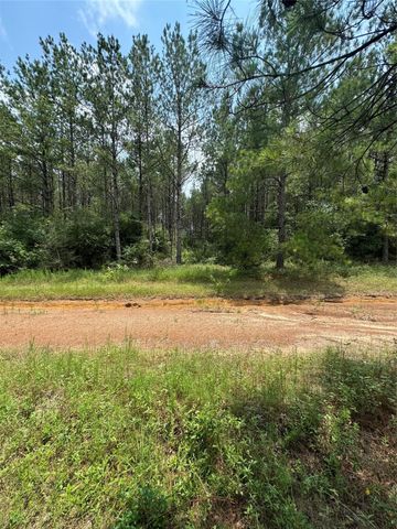 10634 Forest Mill Road, Willis, TX 77378
