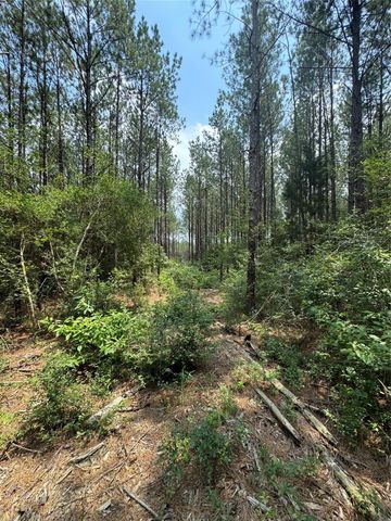10634 Forest Mill Road, Willis, TX 77378