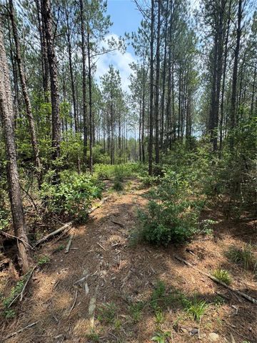 10634 Forest Mill Road, Willis, TX 77378