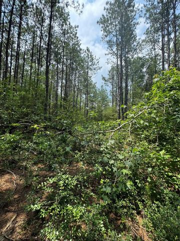 10634 Forest Mill Road, Willis, TX 77378