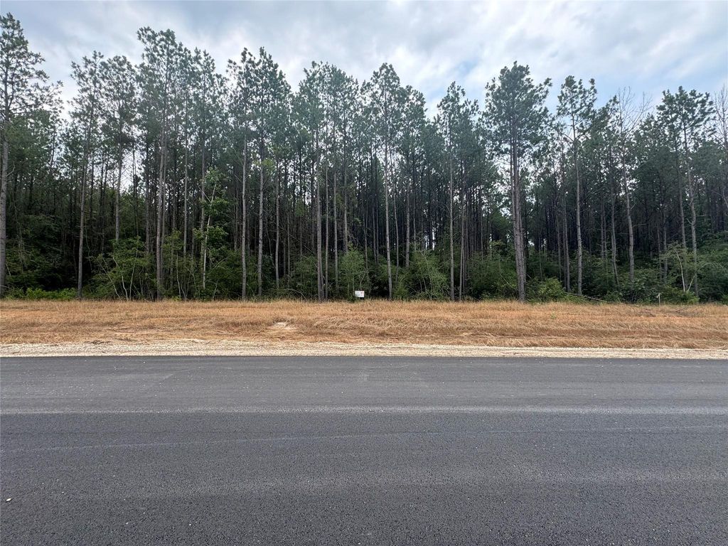 10634 Forest Mill Road, Willis, TX 77378