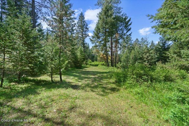 200 DANCING LIGHTS LANE, Athol, ID 83801
