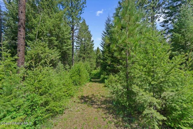 200 DANCING LIGHTS LANE, Athol, ID 83801
