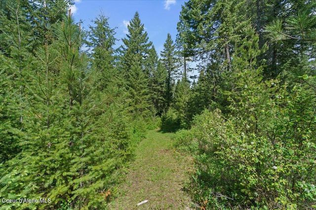 200 DANCING LIGHTS LANE, Athol, ID 83801