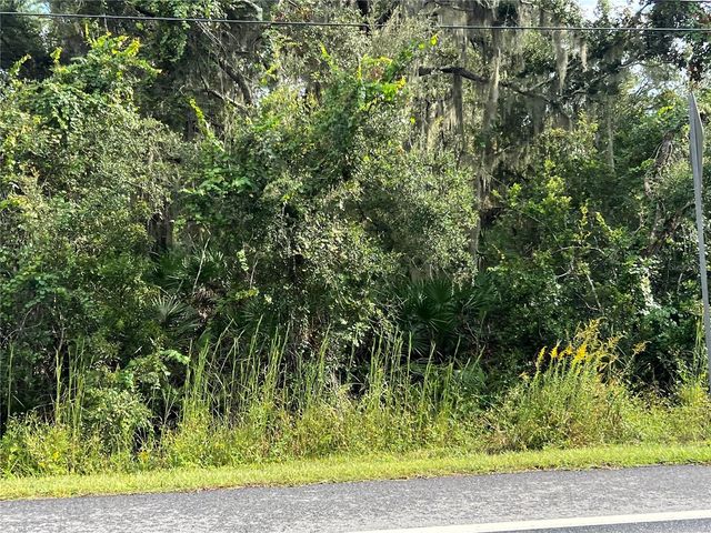 COUNTY ROAD 48, Yalaha, FL 34797