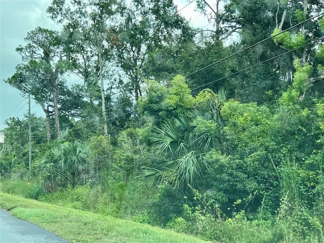 COUNTY ROAD 48, Yalaha, FL 34797