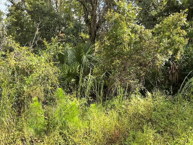 COUNTY ROAD 48, Yalaha, FL 34797