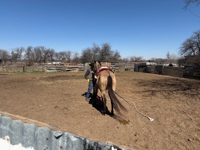 4815 Garden Lane, Fort Worth, TX 76119