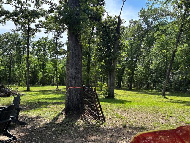 373 N Saddle Surrey Road, Coldspring, TX 77331