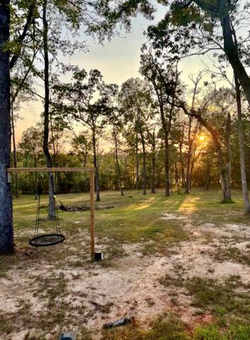 373 N Saddle Surrey Road, Coldspring, TX 77331