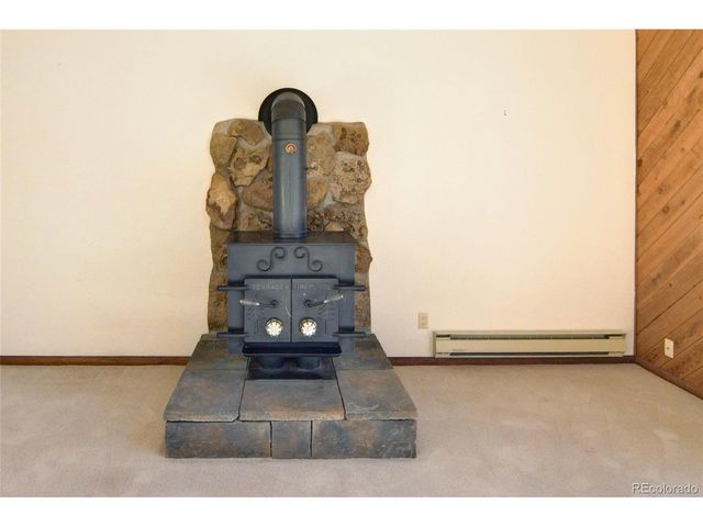 30596 Overlook Run, Buena Vista, CO 81211