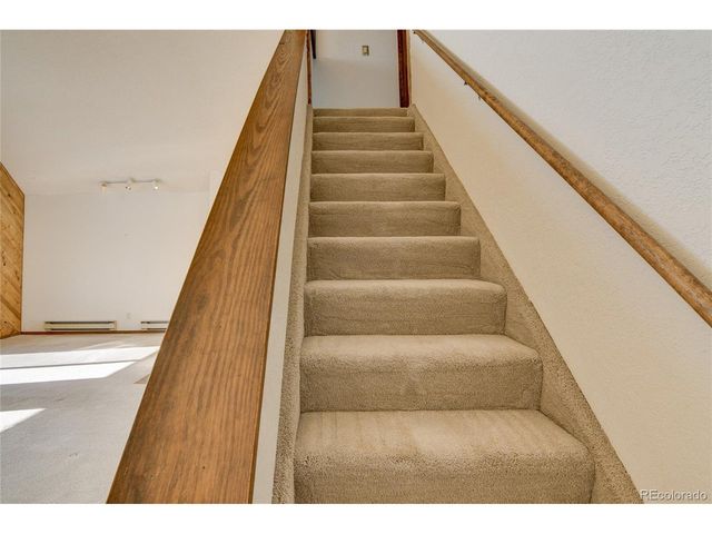 30596 Overlook Run, Buena Vista, CO 81211