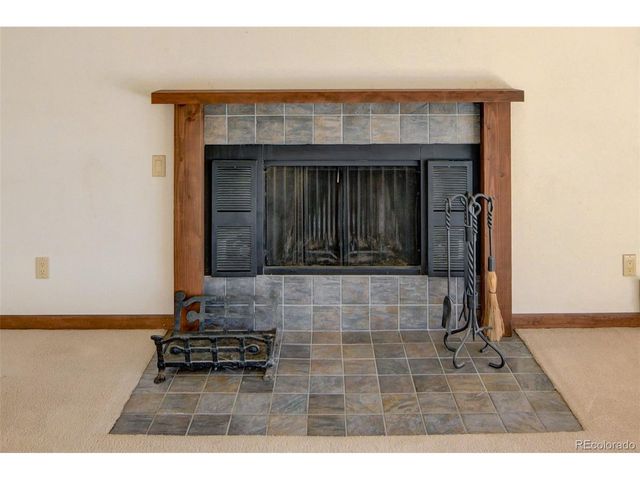 30596 Overlook Run, Buena Vista, CO 81211