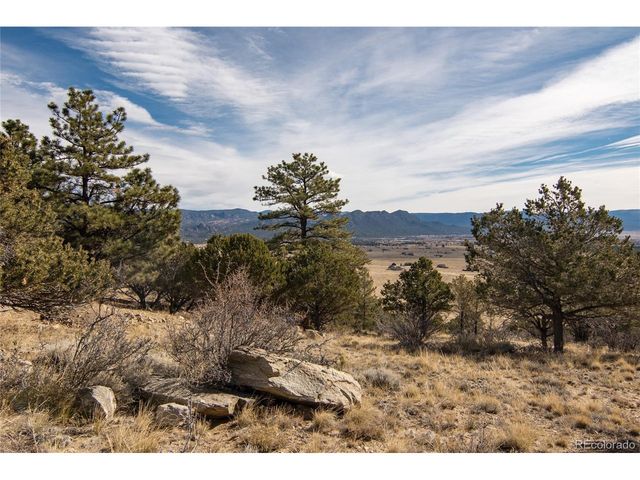 30596 Overlook Run, Buena Vista, CO 81211