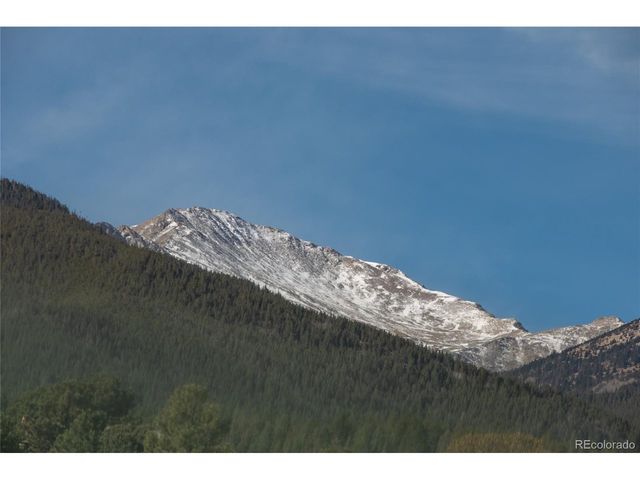 30596 Overlook Run, Buena Vista, CO 81211