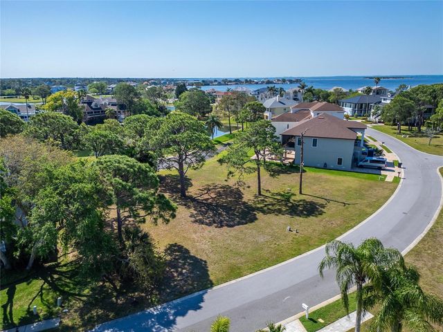 N POINTE ALEXIS DRIVE, Tarpon Springs, FL 34689