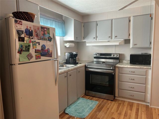 131 MALAYON WAY, Leesburg, FL 34788