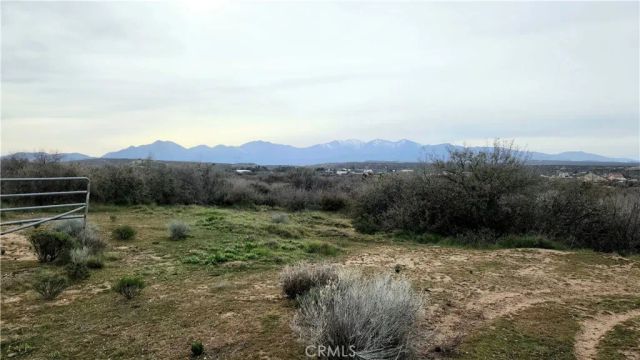 5883 Fremontia, Oak Hills, CA 92344